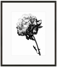 Load image into Gallery viewer, Fire 1 Print