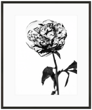 Load image into Gallery viewer, Fire 2 Print