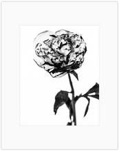 Load image into Gallery viewer, Fire 2 Print