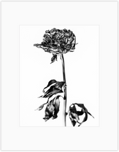 Load image into Gallery viewer, Fire 3 Print