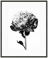 Load image into Gallery viewer, Fire 4 Print