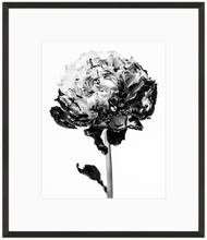 Load image into Gallery viewer, Fire 4 Print