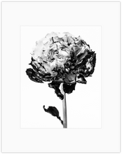 Load image into Gallery viewer, Fire 4 Print