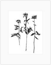 Load image into Gallery viewer, Fire 5 Print