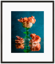 Load image into Gallery viewer, Mushrooms Print