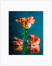 Load image into Gallery viewer, Mushrooms Print