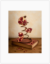 Load image into Gallery viewer, Pomegranate Print